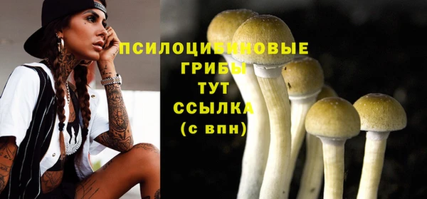 а пвп мука Кодинск