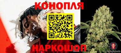 гашик Шебекино